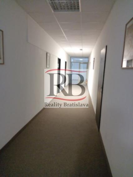 Kancelárske priestory, Pluhová, Bratislava III