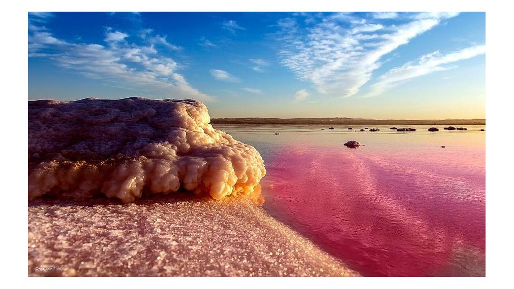 Moderné apartmány 300m od pláže v Torrevieja, Alicante