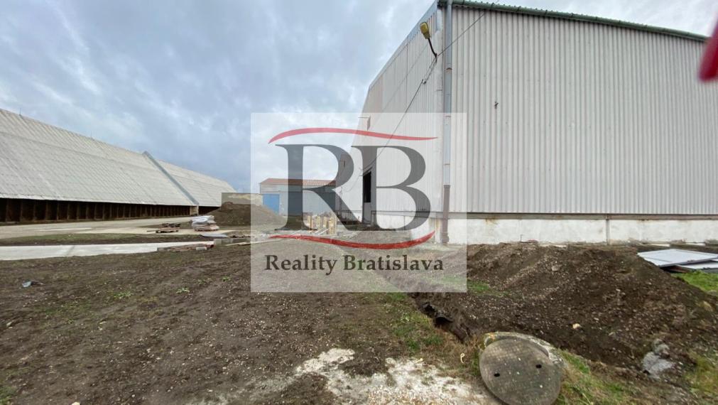 Skladová hala 3900 m2 na prenájom Trnava, Zavar