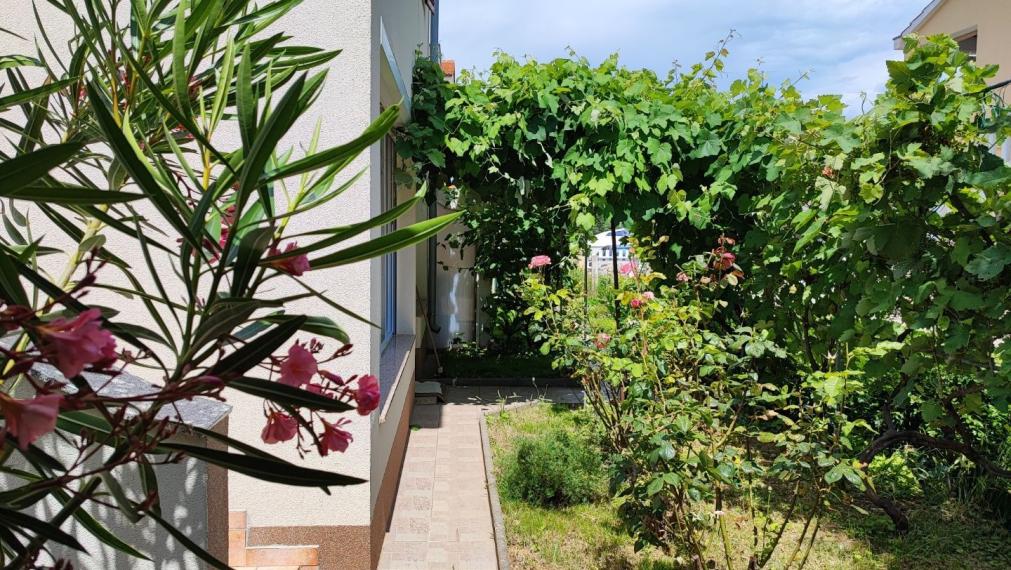 Dom s dvoma bytmi a záhradou, blízko mora, Sabunike-Nin, Zadar