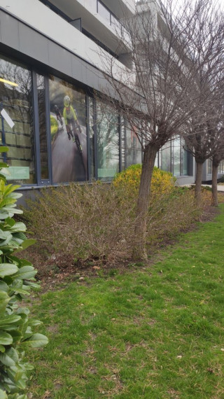 Lukratívny veľkometrážny obchodný priestor na predaj – investičná príležitosť