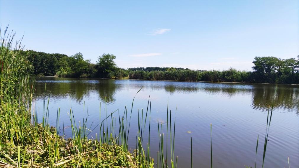 Chata v nádhernom prostredí iba 12 km od Malaciek