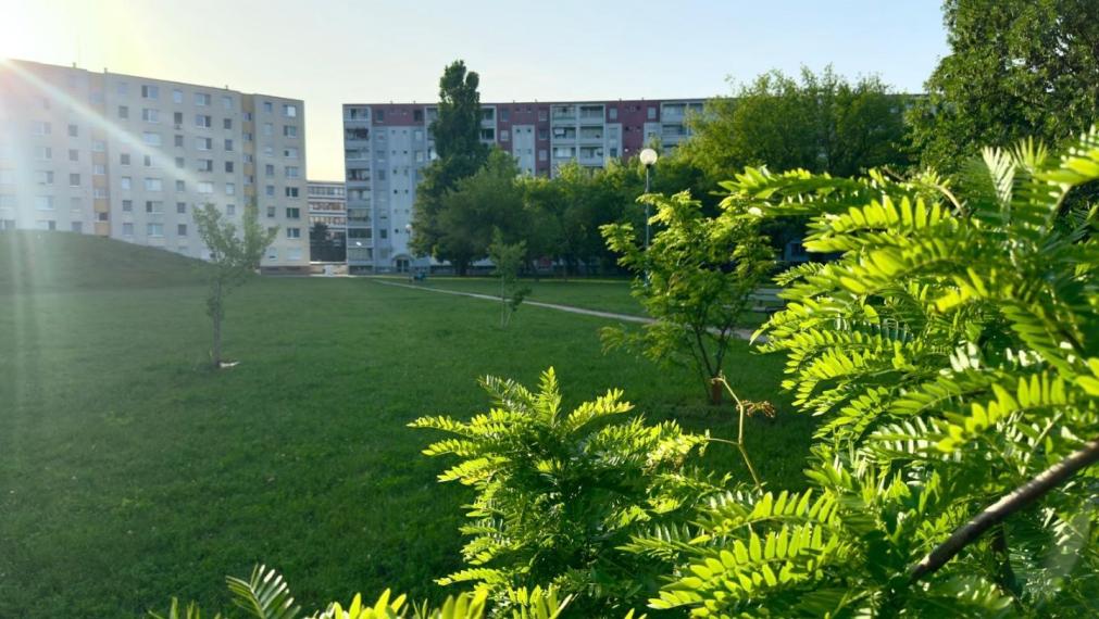 Predaj 4-izbového bytu s loggiou – Pôvodný stav – Podunajské Biskupice, Bratislava