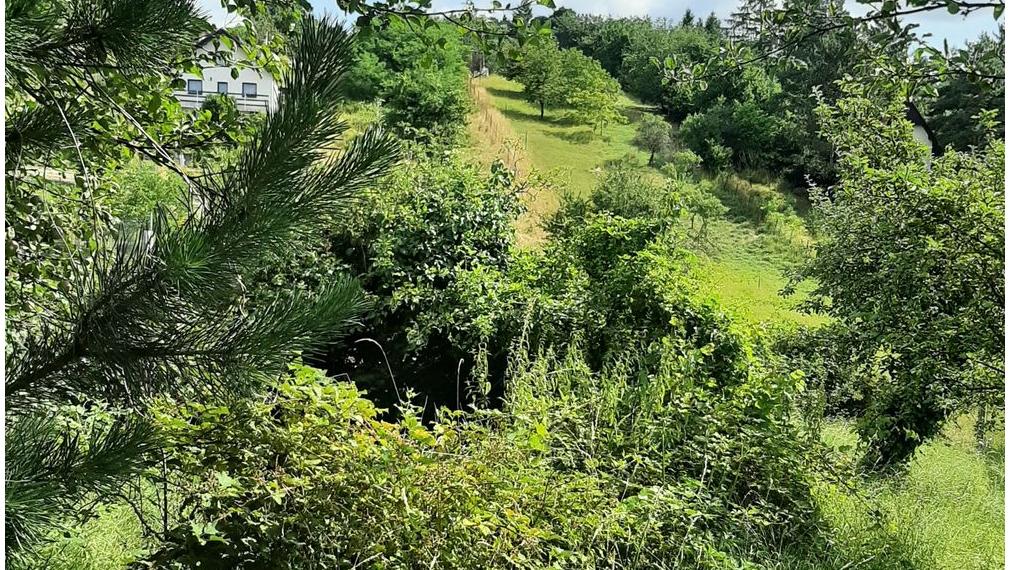 Pozemok na predaj - Stupava