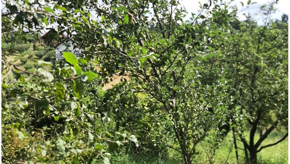 Pozemok na predaj - Stupava