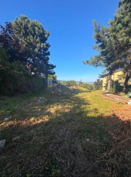 Pozemok na predaj, Koliba