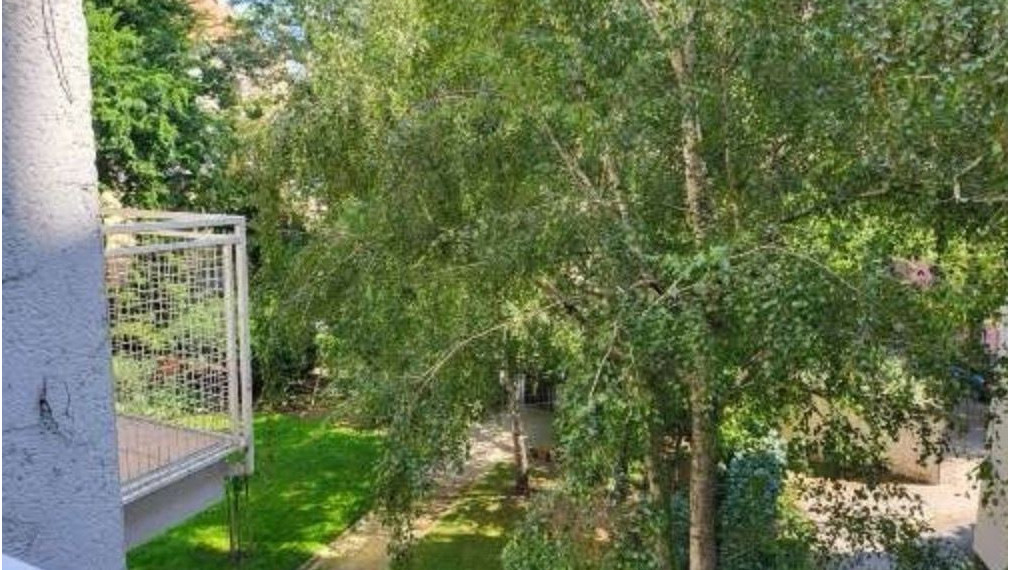 3i byt na prenájom, Grösslingová