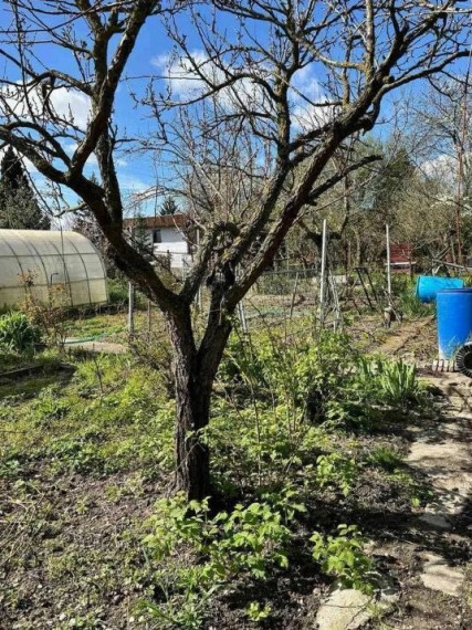 Záhrada na predaj - Bratislava