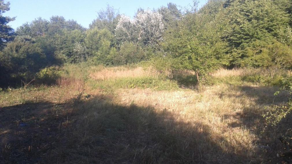 Stavebný pozemok, Jablonové, okres Malacky