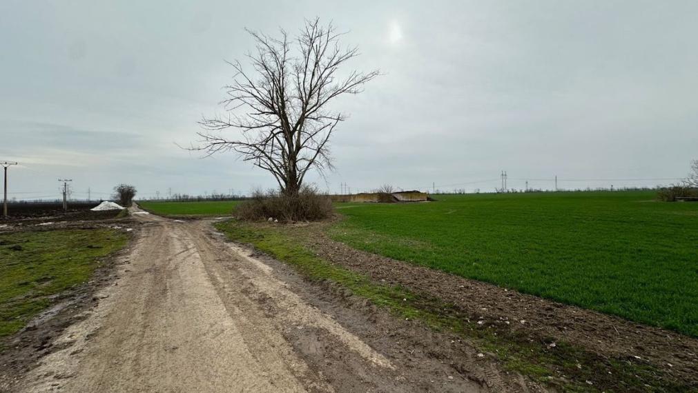 Investičný pozemok 28 249 m² neďaleko Trnavy na predaj