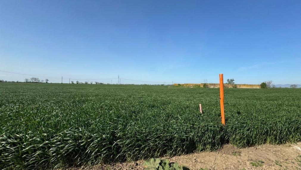 Investičný pozemok 28 249 m² neďaleko Trnavy na predaj