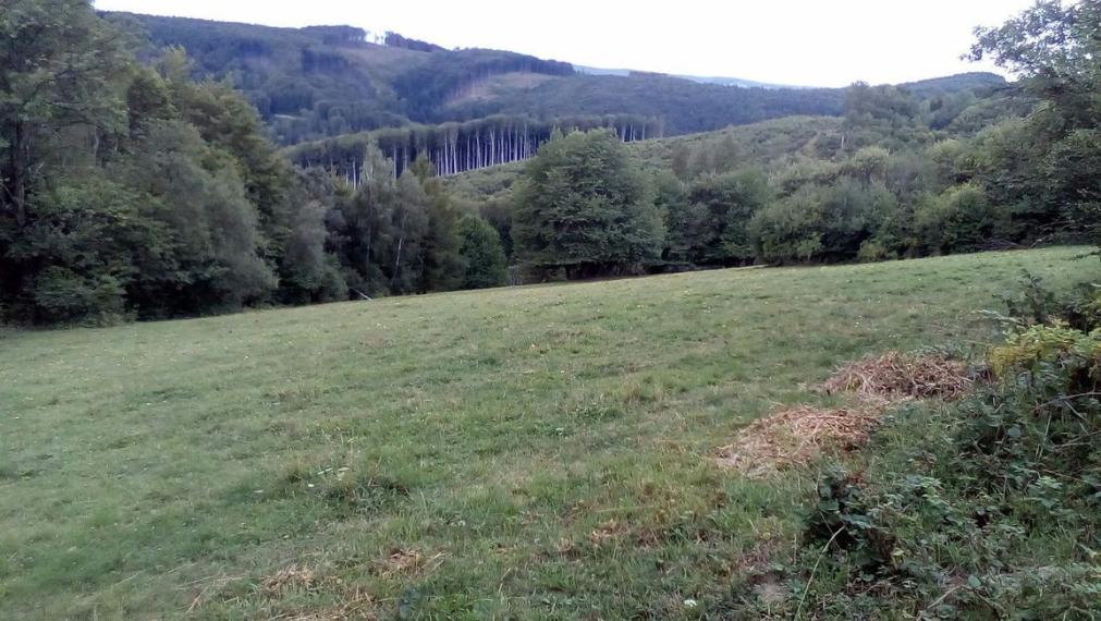 11 200 m2 Pozemok  - lúka (trvalý trávny porast ) na predaj