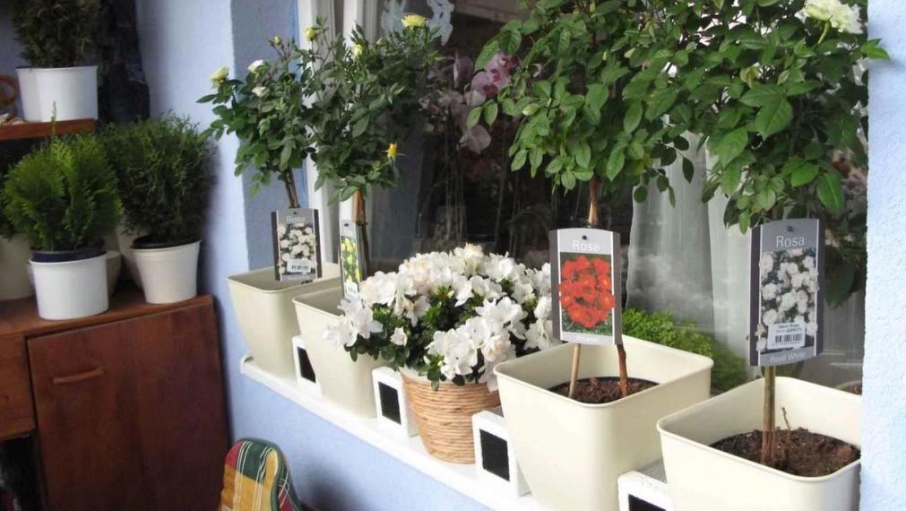 Byt na prenájom - ul. Rezedová, Bratislava II TOP