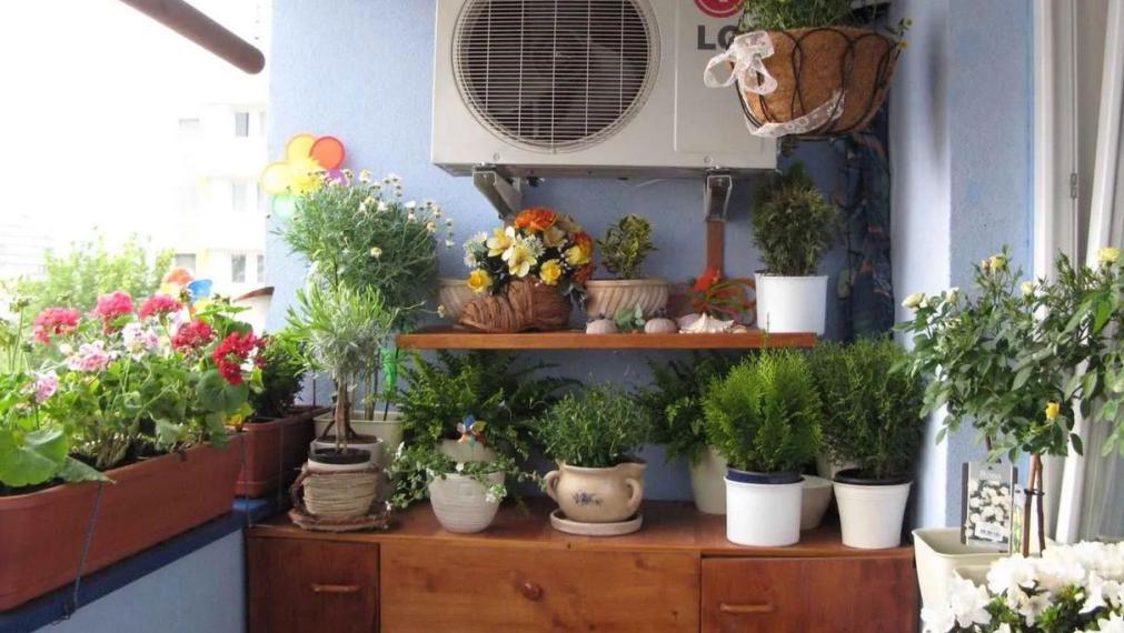 Byt na prenájom - ul. Rezedová, Bratislava II TOP