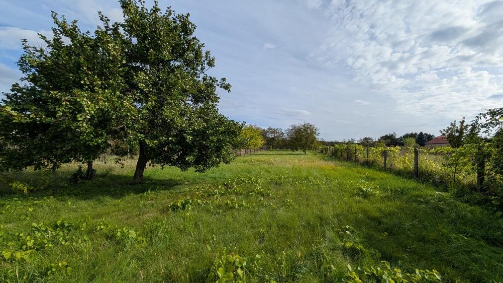 Stavebný pozemok, Viničné