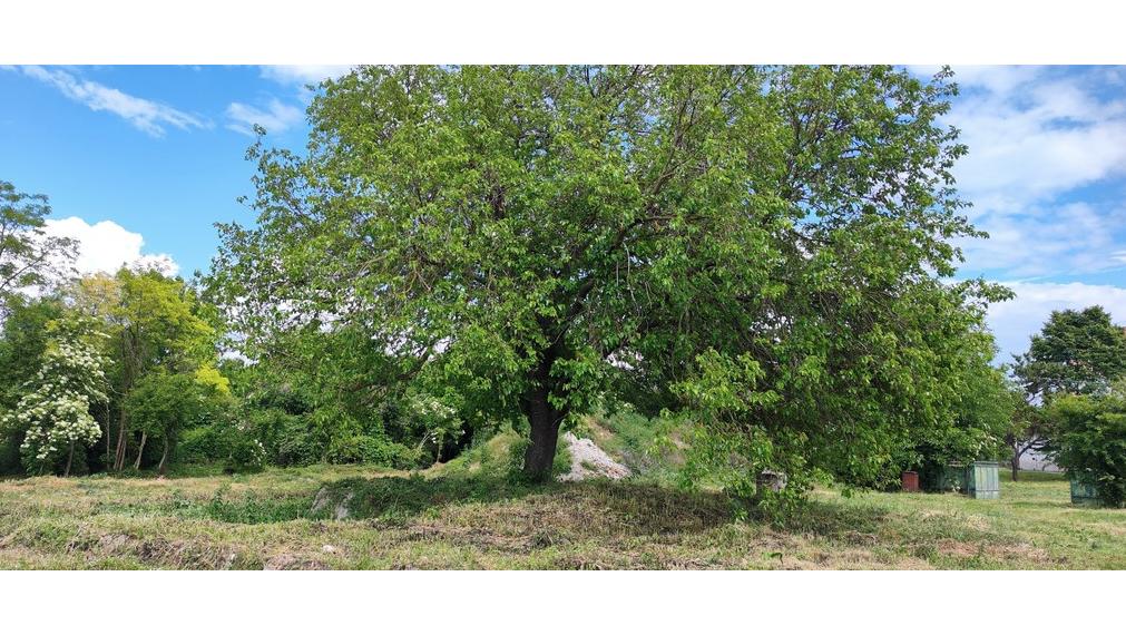 Pozemok na predaj - Baka