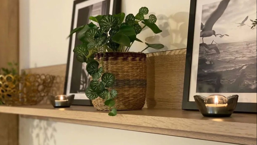 Nová garsónka, Bratislava I TOP