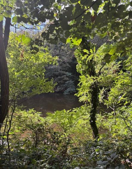 Byt na prenájom - ul. Pekná cesta, Bratislava III TOP