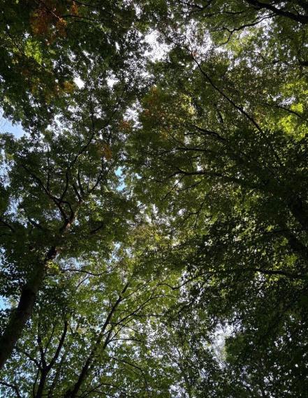 Byt na prenájom - ul. Pekná cesta, Bratislava III TOP