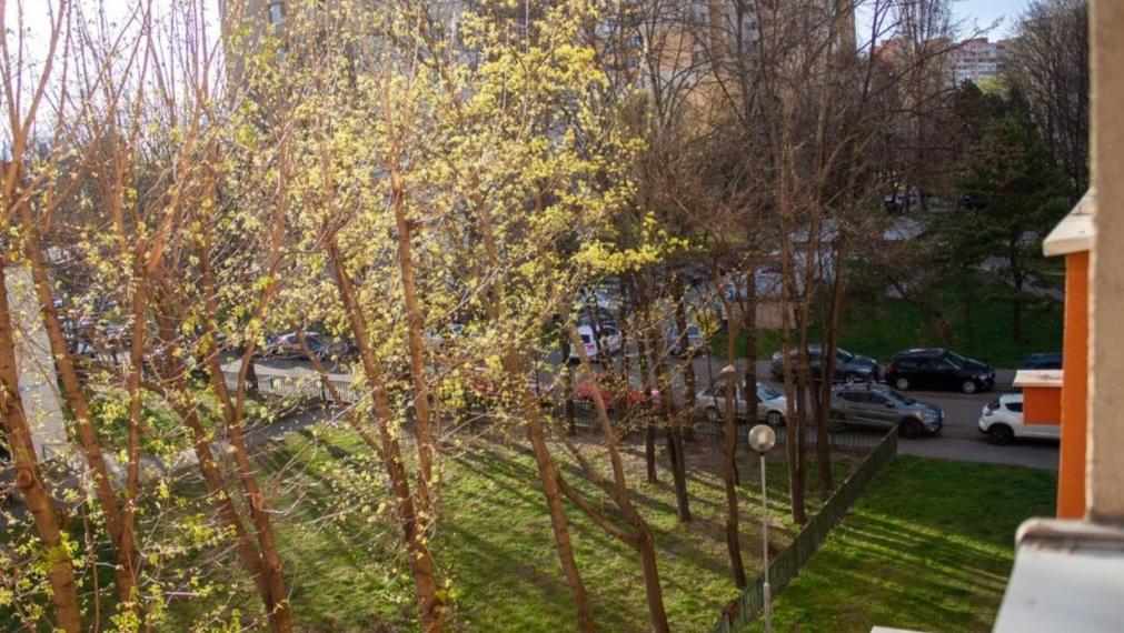 Byt na prenájom - ul. Polereckého, Bratislava V TOP