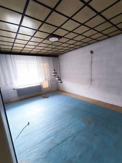 Chata na predaj - Holíč