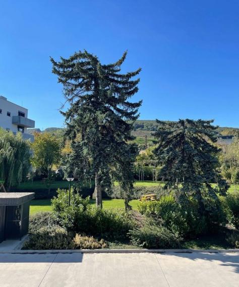 Byt na prenájom - ul. Skalická cesta, Bratislava III TOP