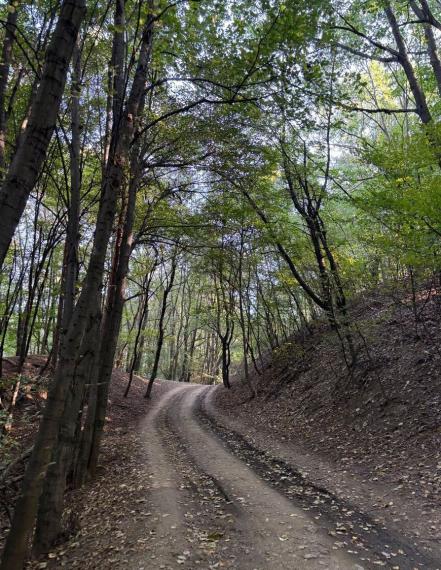 Byt na prenájom - ul. Pekná cesta, Bratislava III TOP