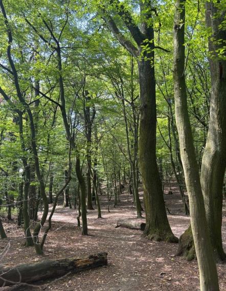 Byt na prenájom - ul. Pekná cesta, Bratislava III TOP