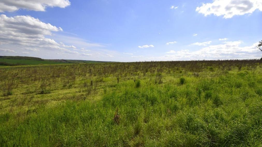 Ideálne pozemky pre rodinné domy – Kolta