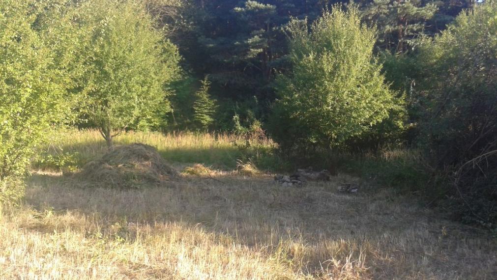 Stavebný pozemok, Jablonové, okres Malacky