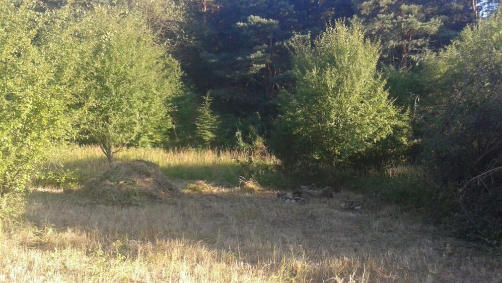 Stavebný pozemok, Jablonové, okres Malacky