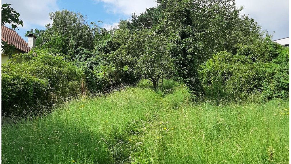 Pozemok na predaj - Stupava