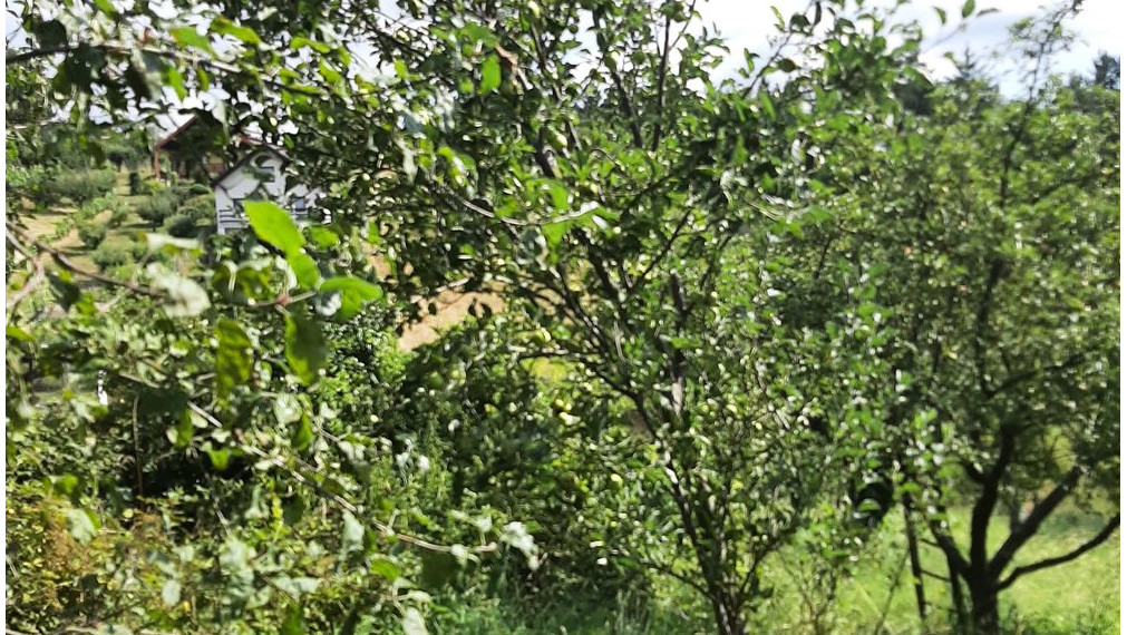 Pozemok na predaj - Stupava