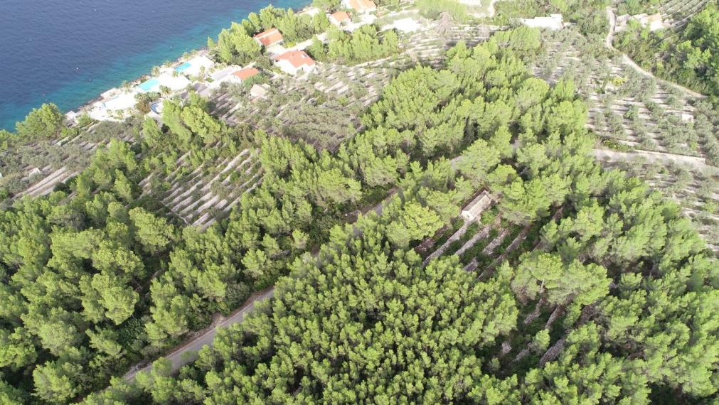 Pozemok s nehnuteľnosťou a výhľadom na more, Prigradica, ostrov Korčula