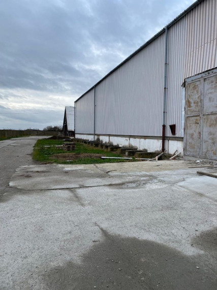 Skladová hala 3900 m2 na prenájom Trnava, Zavar