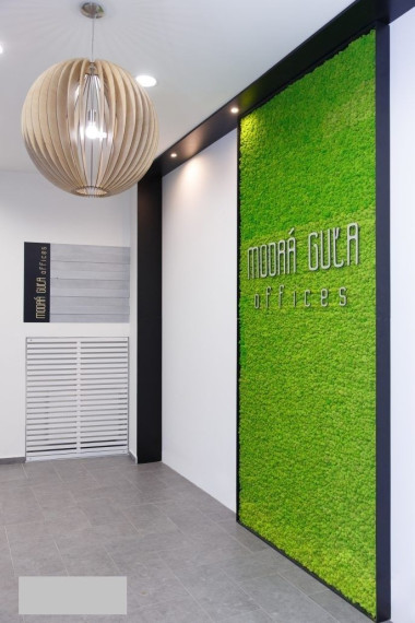 Moderné administratívne priestory s výhľadom na Prezidentský Palác, BAI