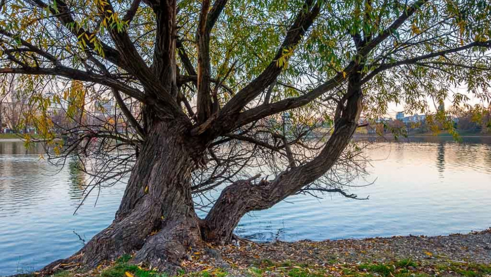 Reprezentatívne kancelárie s výhľadom na jazero, 245 m2