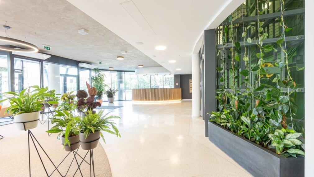 Priestory vhodné na administratívu či služby v tesnej blízkosti ŽST Petržalka, Röntgenova