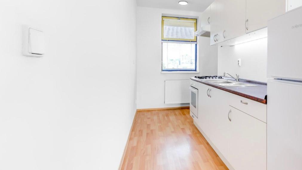 Krásny svetlý 1izb. Byt na Haanovej ulici