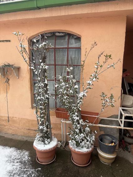 Dom na predaj - ul. Hattalova, Bratislava III TOP