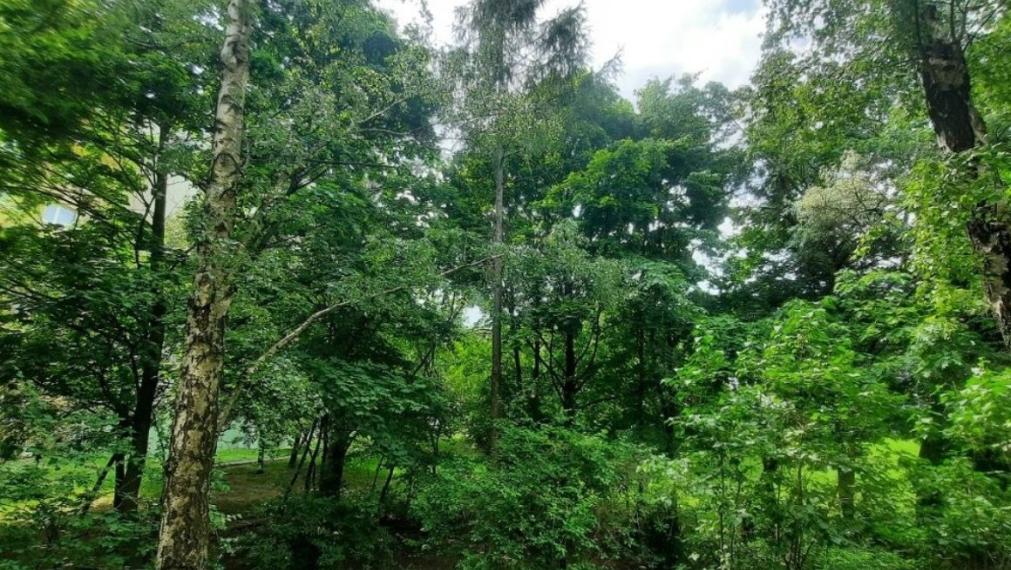 Krásny byt na predaj - ul. Pri kríži, Bratislava IV TOP