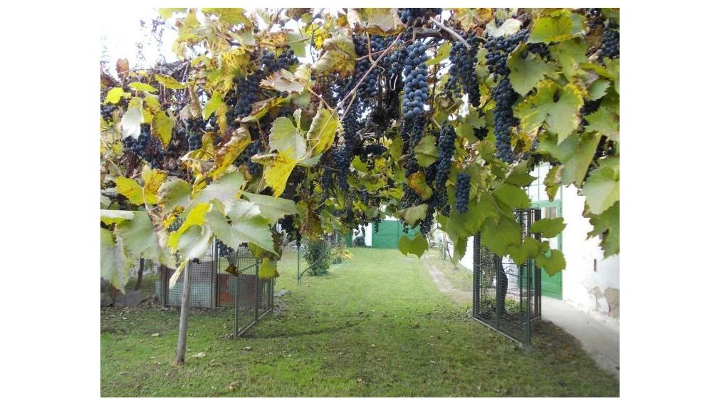 Útulný vidiecky rodinný dom s atmosférou na predaj - Tesárske Mlyňany