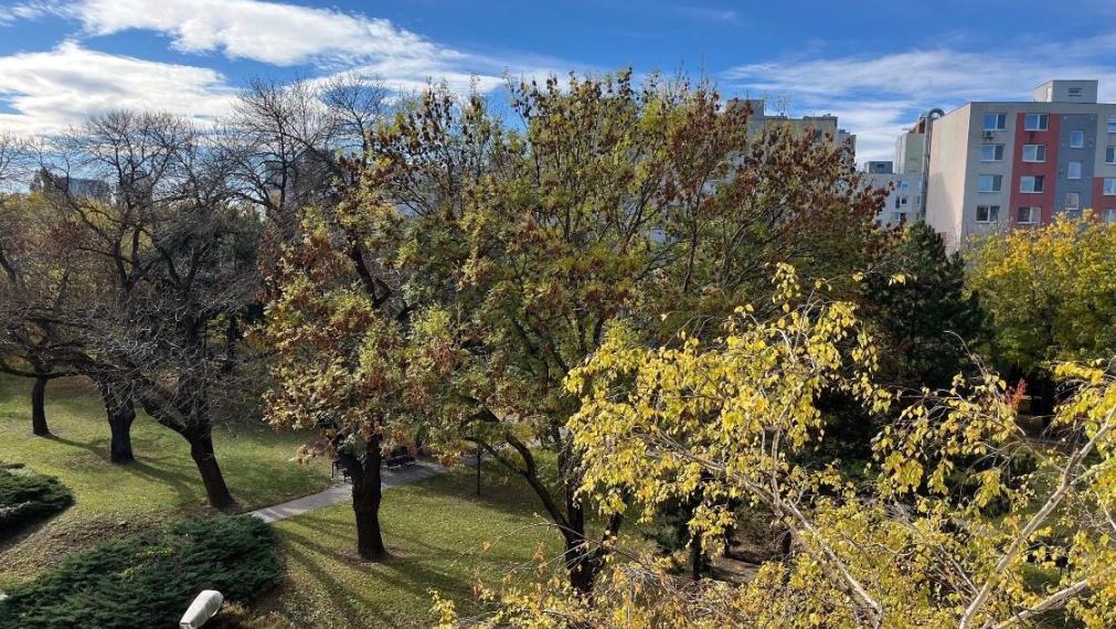 Slnečý byt s krásny výhľadom na predaj - Bratislava