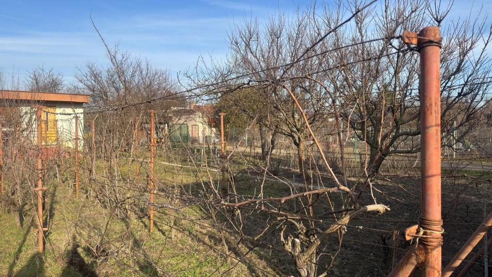 Na predaj záhrada s podpivničenou chatkou v Podunajských Biskupiciach