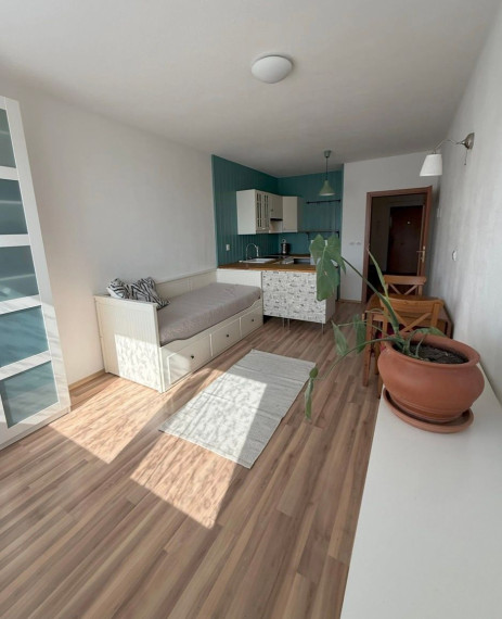 Prakticky riešený 1 izbový byt na prenájom v Novom Meste, Bratislava III TOP