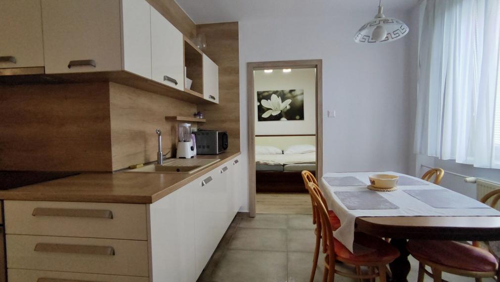 2- izbový kompletne rekonštruovaný byt NA PRENÁJOM, Trenčín - Juh 