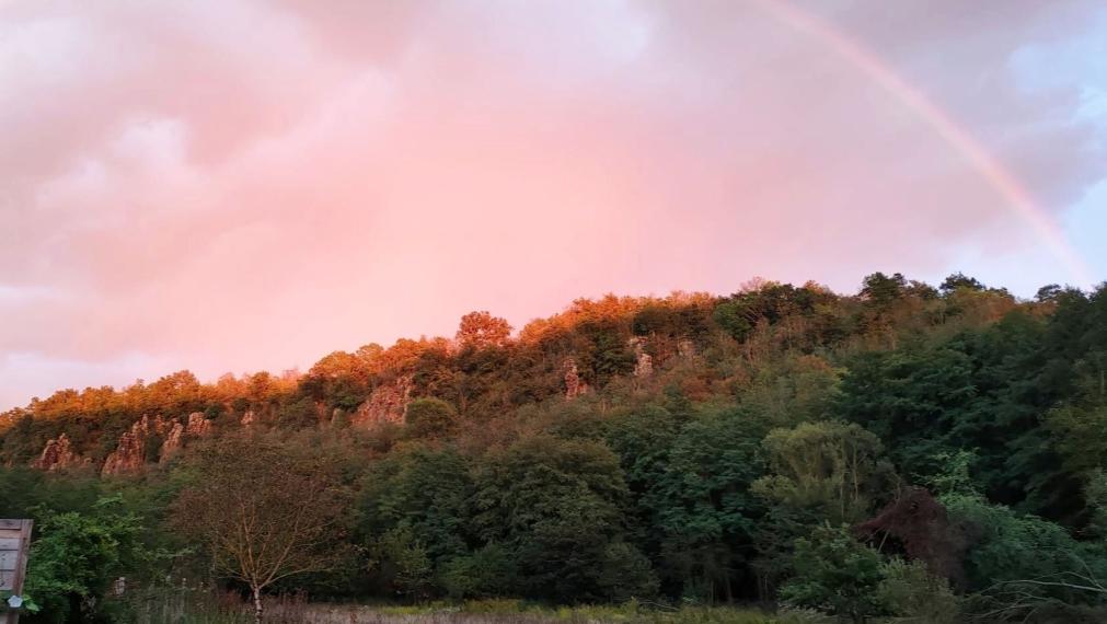 4-izbový rodinný dom v tichom prostredí pri lese na predaj TOP
