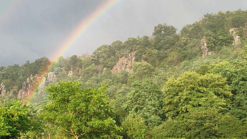 4-izbový rodinný dom v tichom prostredí pri lese na predaj TOP