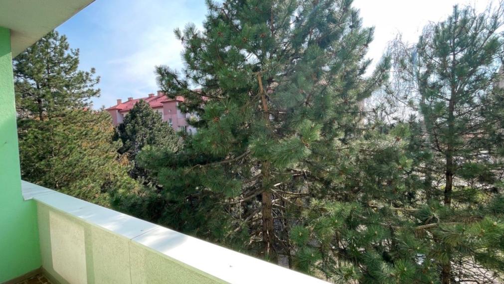 Na prenájom DOG FRIENDLY a kompletne zariadený 1-izbový byt v Rači TOP