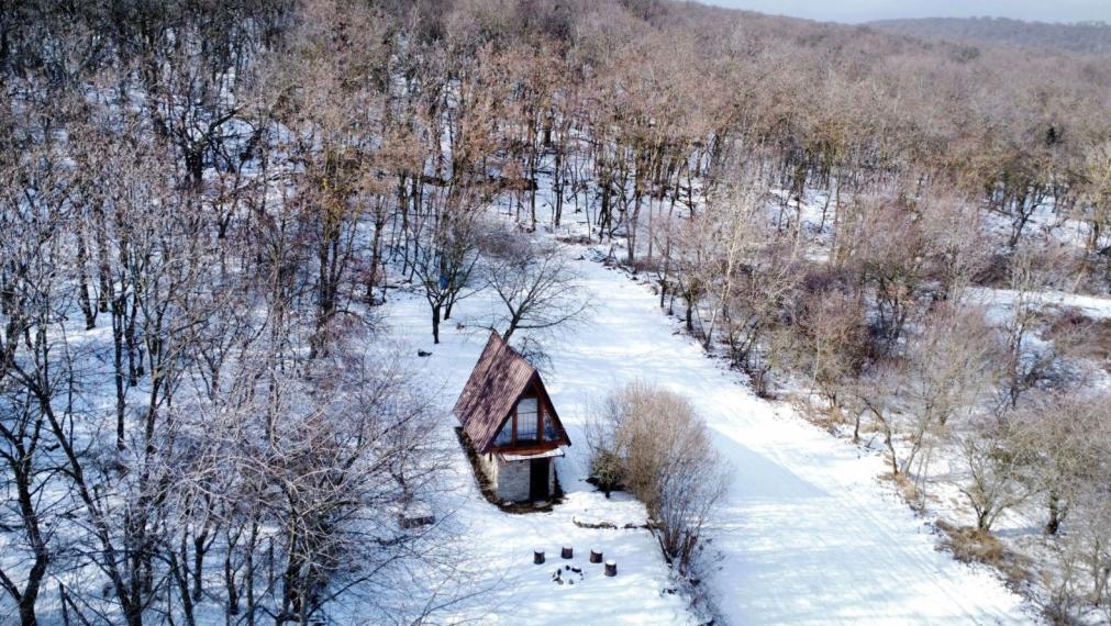 Na predaj unikátna útulná chata na okraji lesa – Malé Karpaty TOP